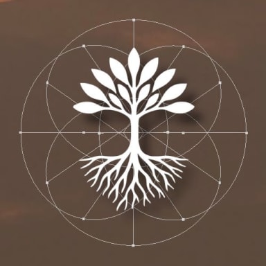 Symbio Experience