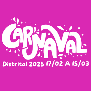 CARNAVAL DO DISTRITAL