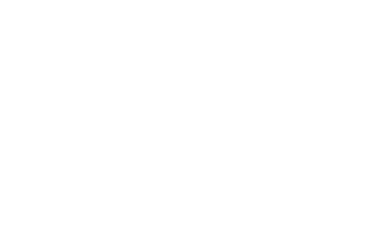 District Eagle