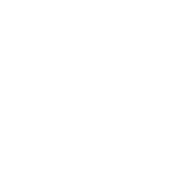 PentaGyalz Nation