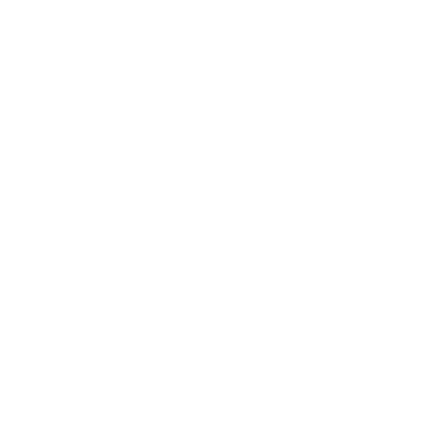 SKY TING
