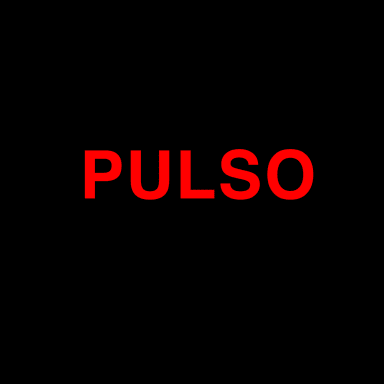 PULSO NY