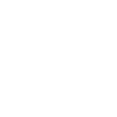 The Holy Techno