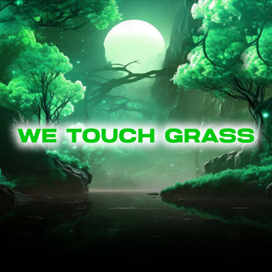 We Touch Grass