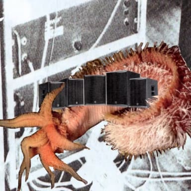 "Grill Party" out on Bait