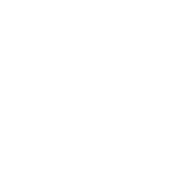 Rock en Seine