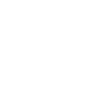 VIRTUAL CLUB
