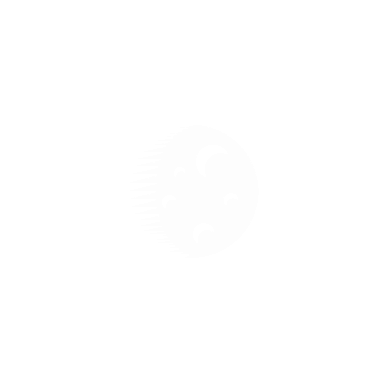 Night Birds