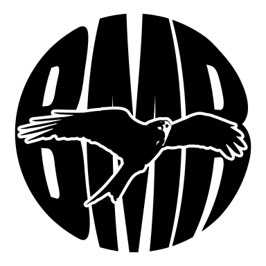 BROKE MUSIQUE RECORDS