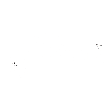 L'Astrodøme