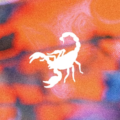 Animals Industry