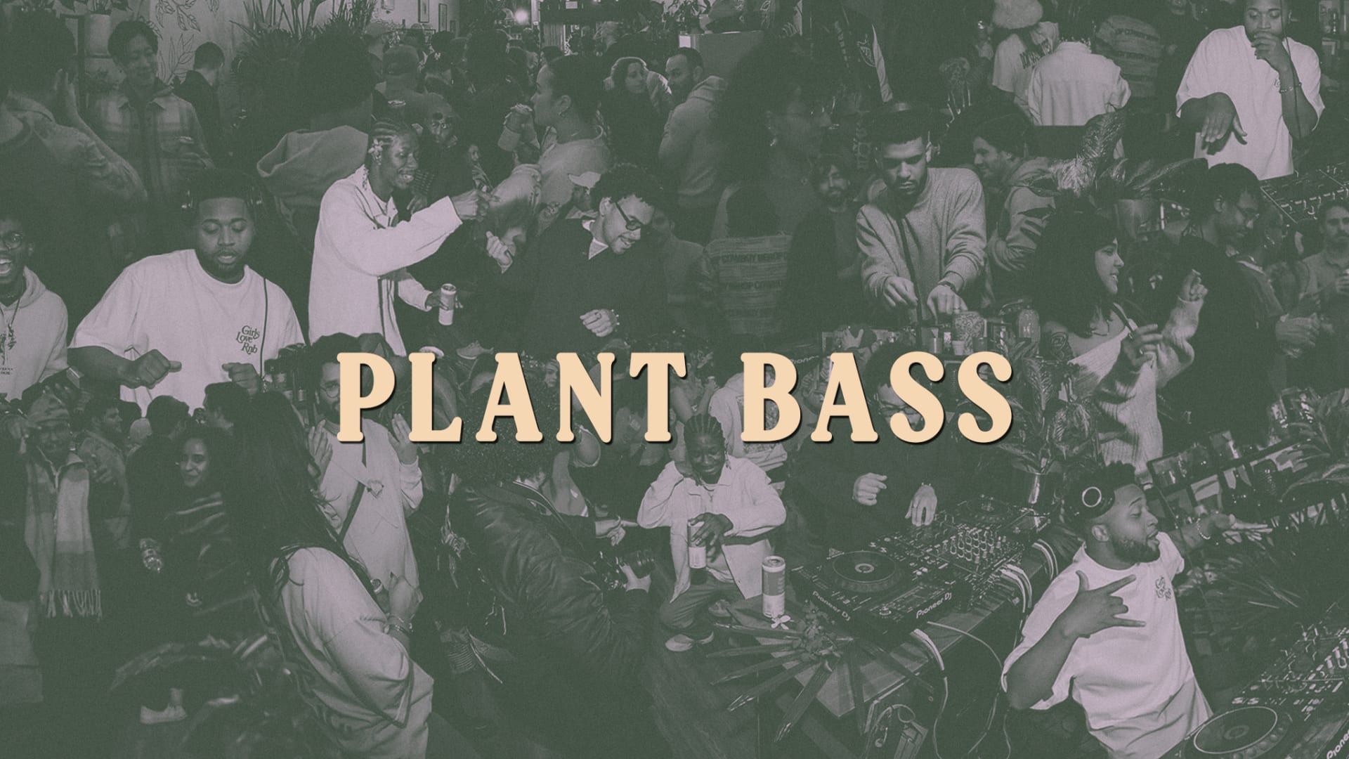 Plant Bass