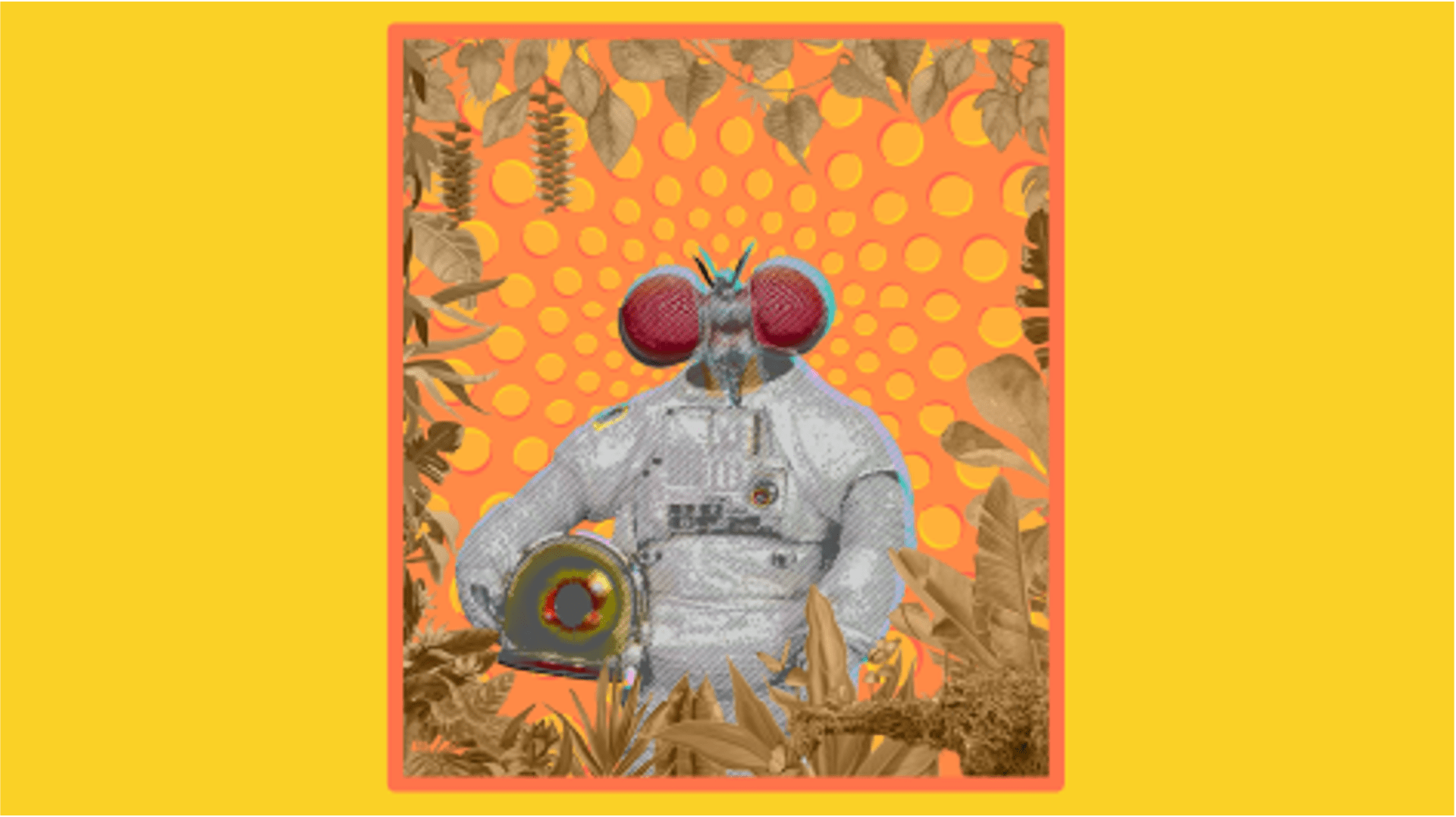 Narator #2