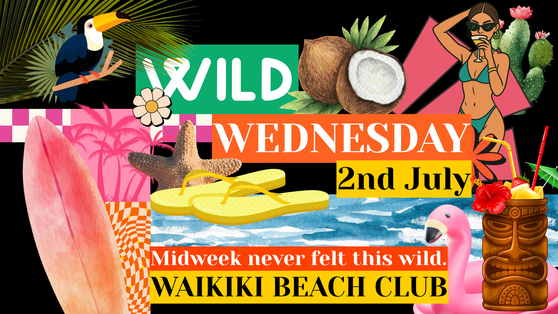 Wild Wednesday 2nd July