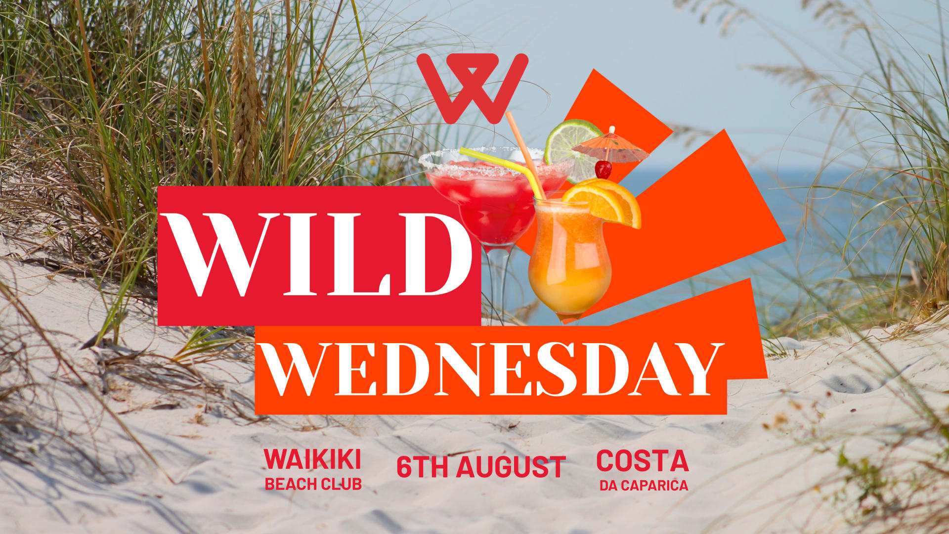 Wild Wednesday 6th August