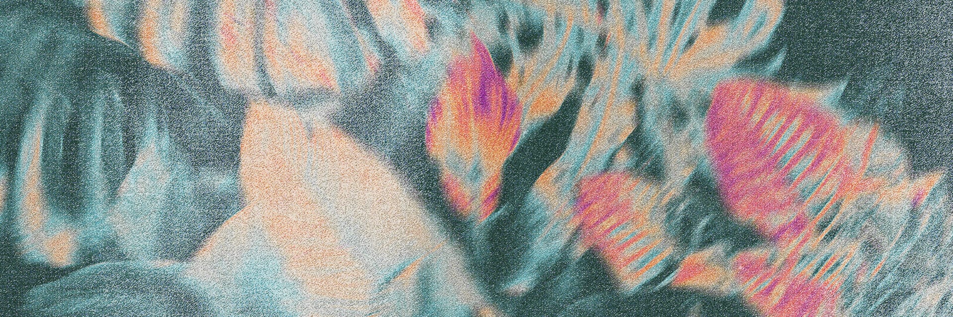 Ayahuasca Paris