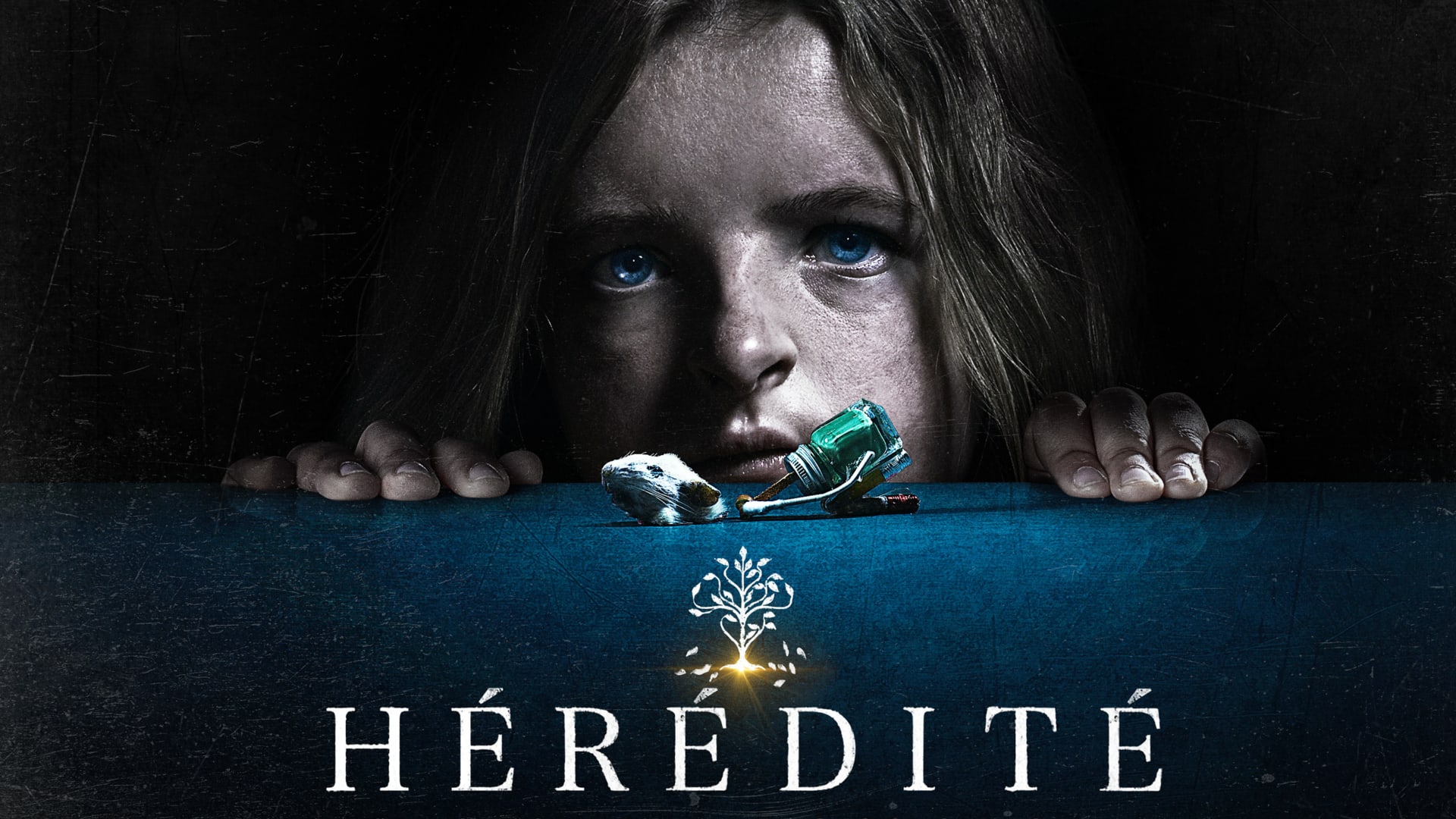 Projection Hérédité