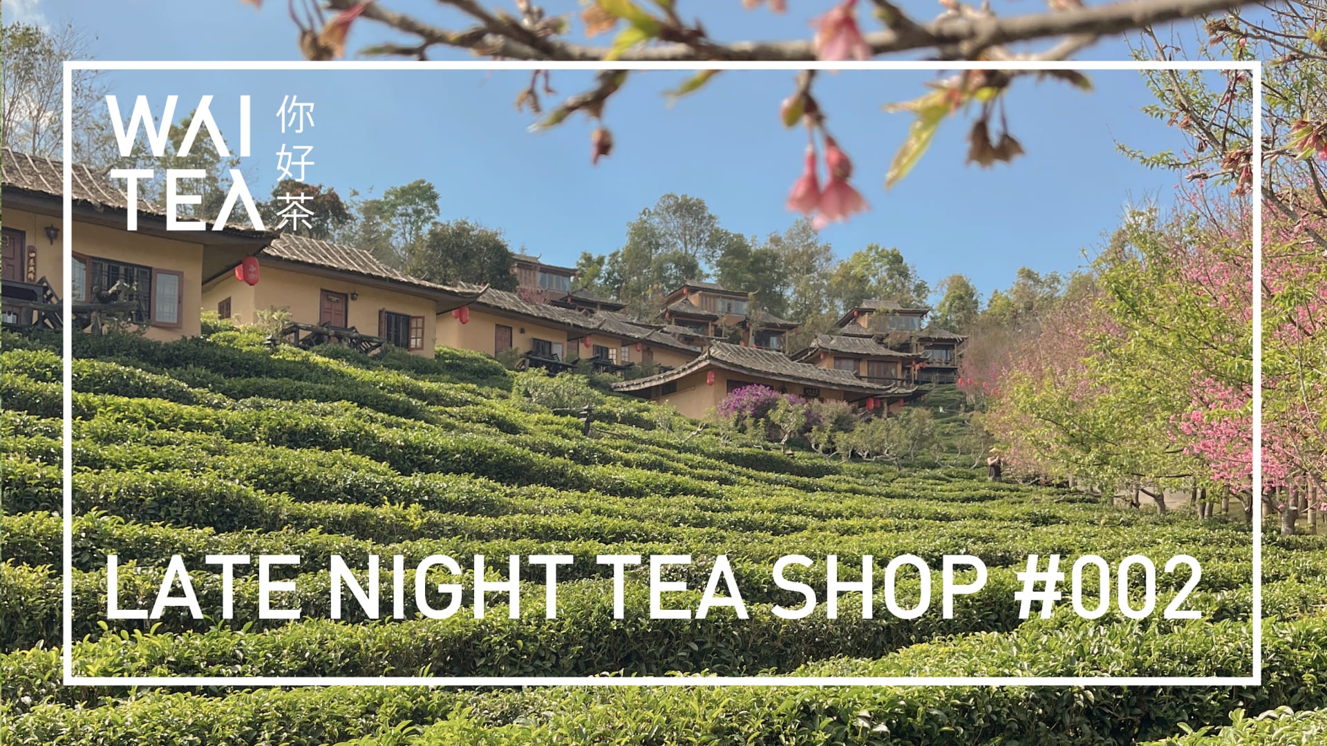 Late Night Tea Shop #002