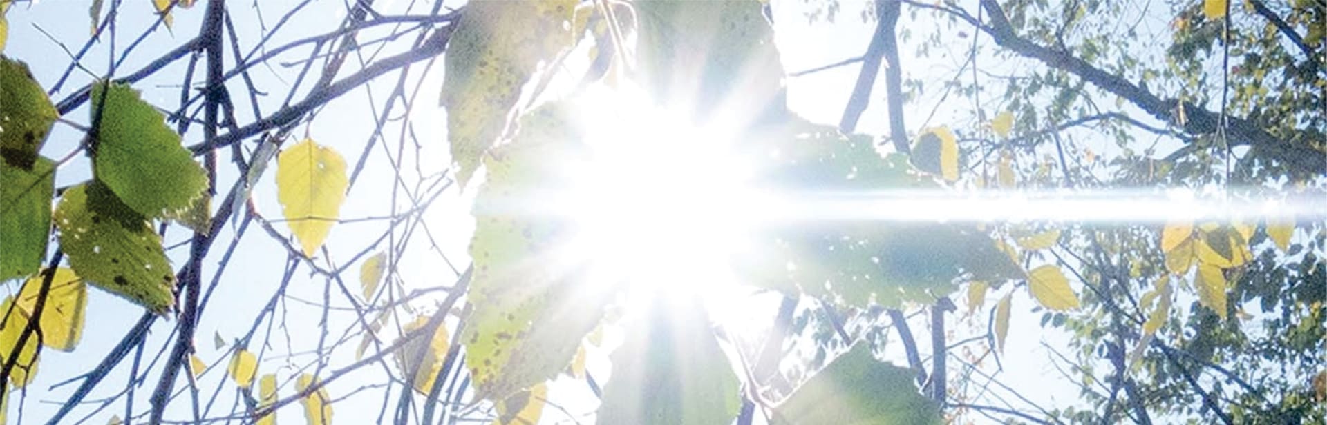 Heat Maps: A Warehouse Party Series