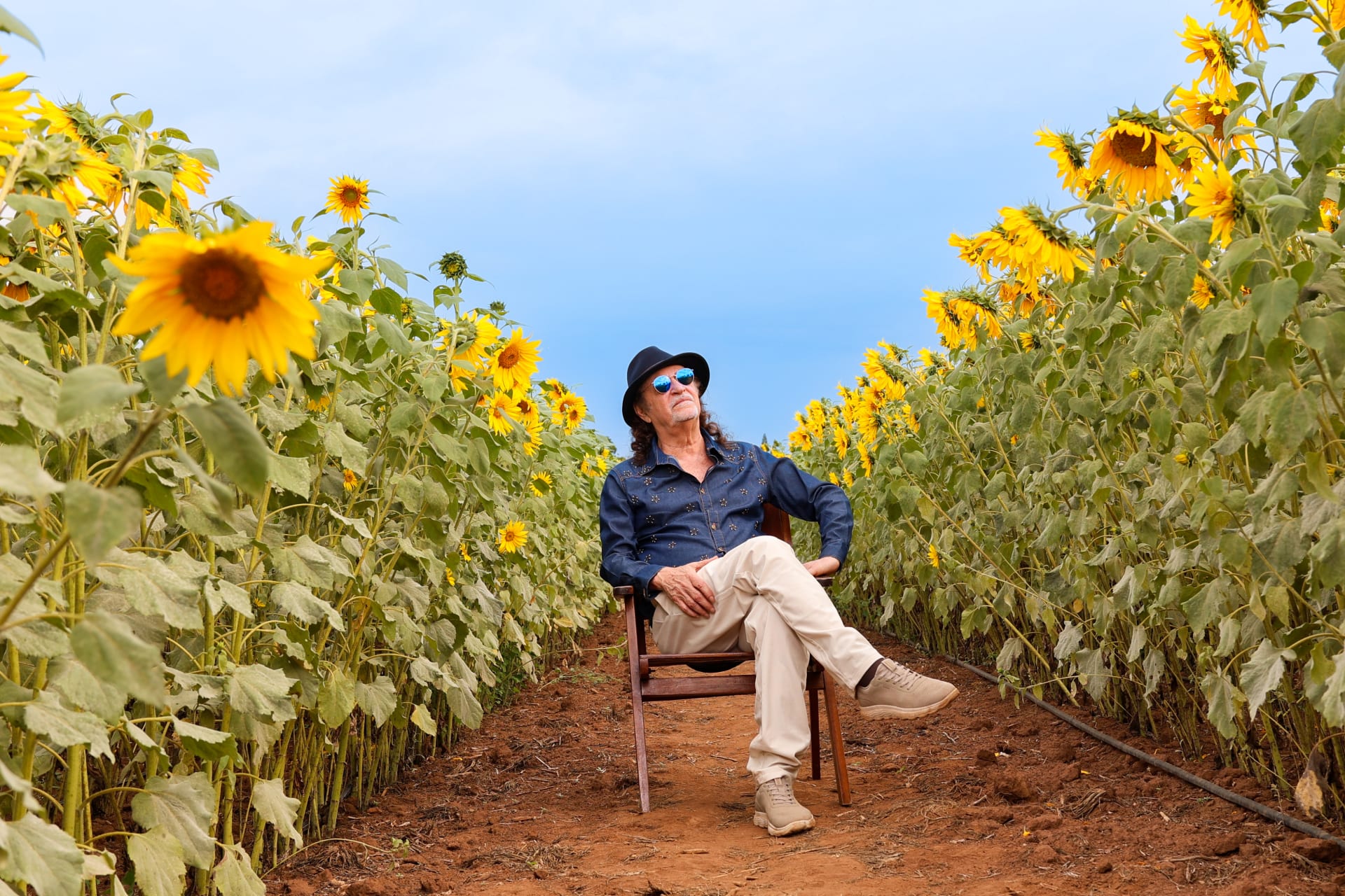 Alceu Valença | Dublin | National Stadium