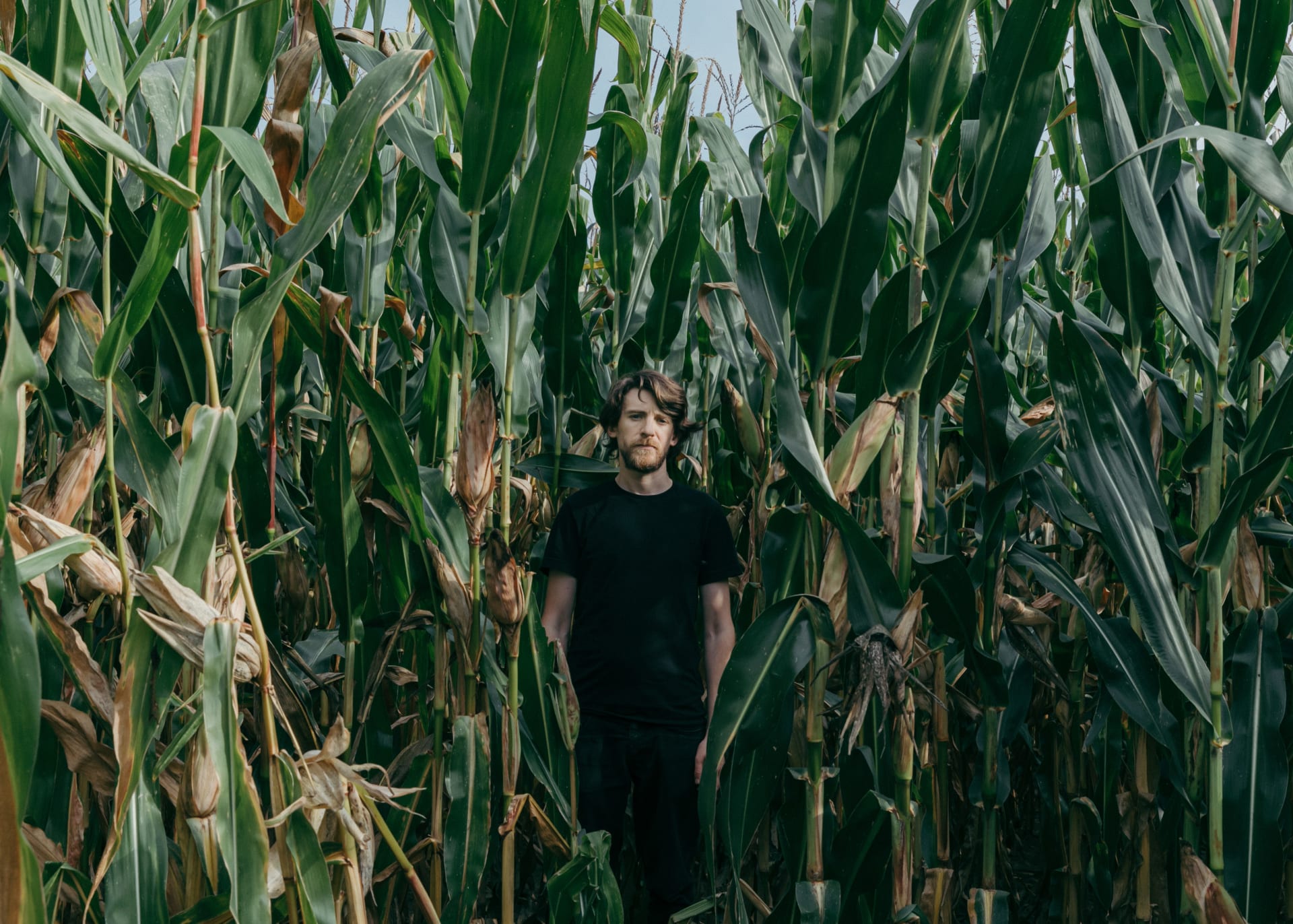 El Bùho - Nonsense Concert