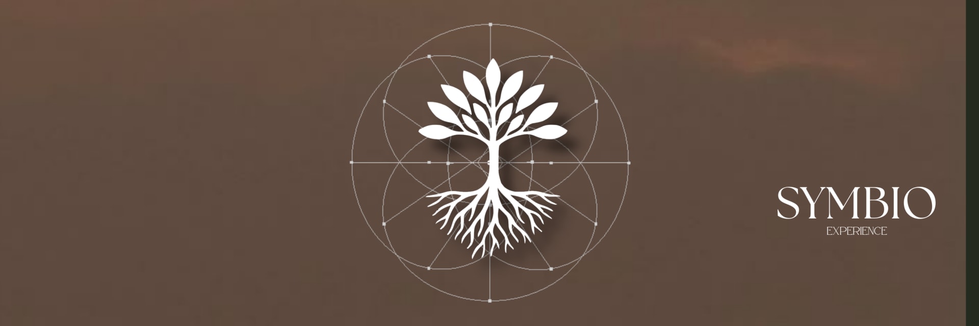 Symbio Apresenta: Willco Bday — All Night Long