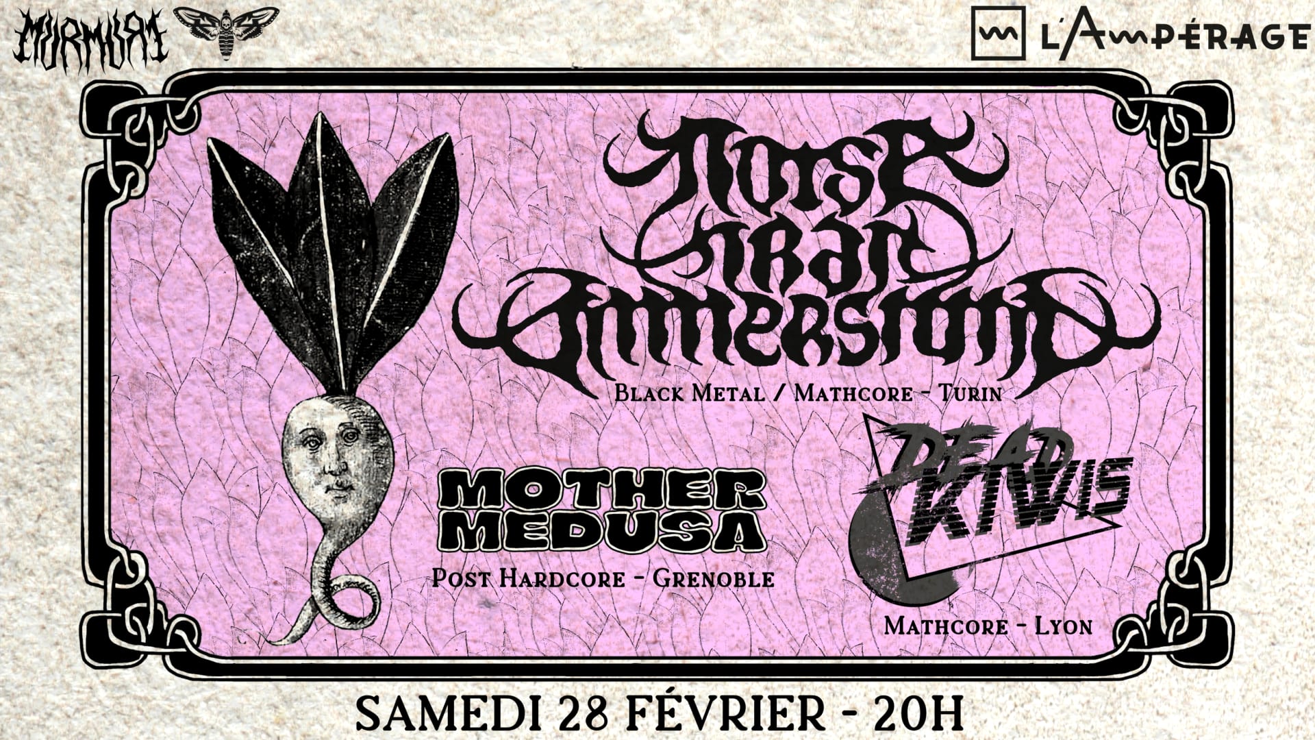 Noise Trail Immersion + Dead Kiwis + Mother Medusa