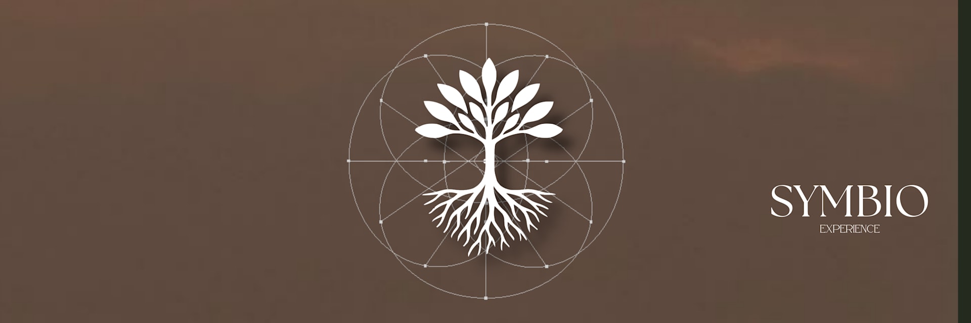 Symbio Invites Electronic Sun: Sunset & Rooftop Vibes