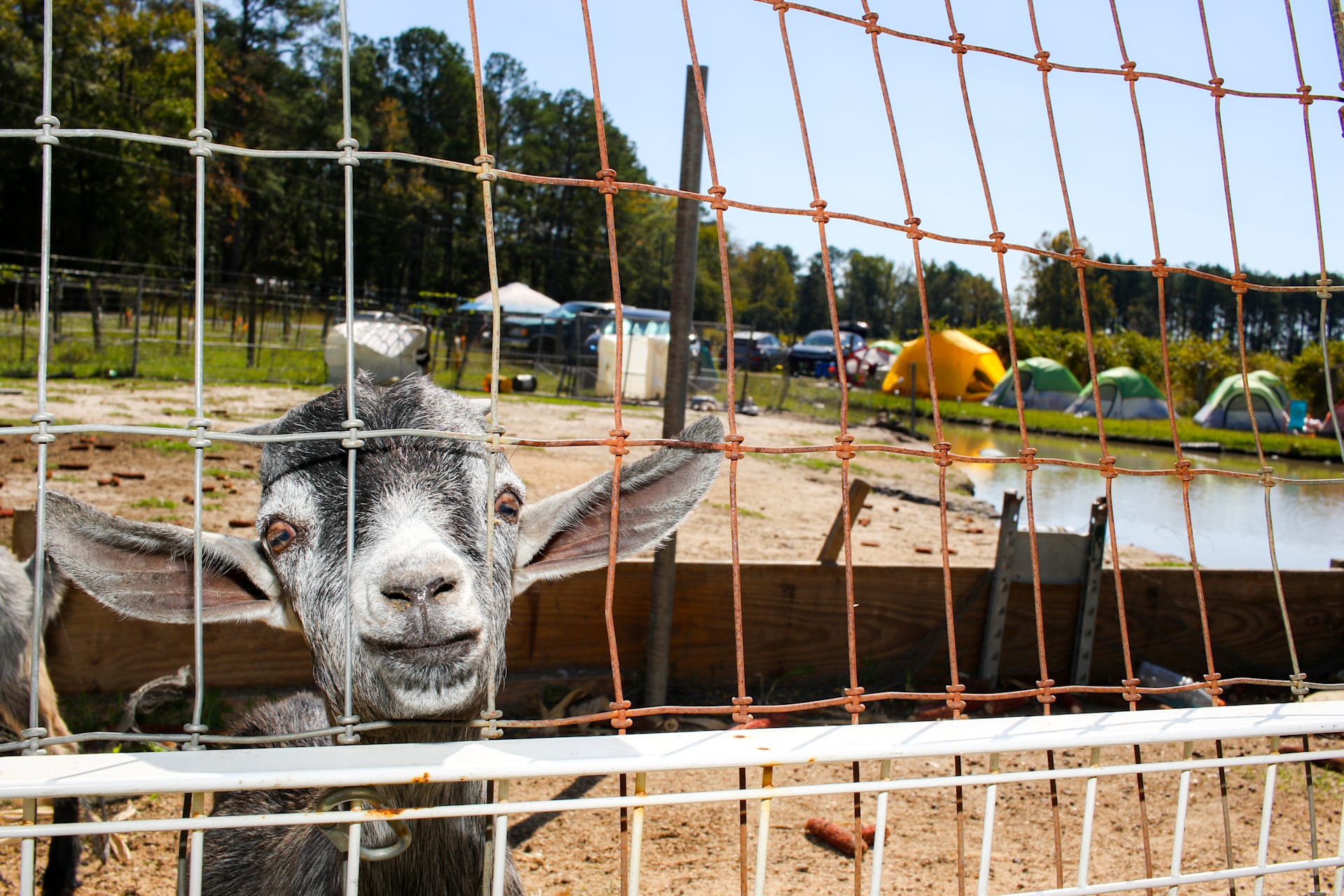 Freak Fest: Spring Break