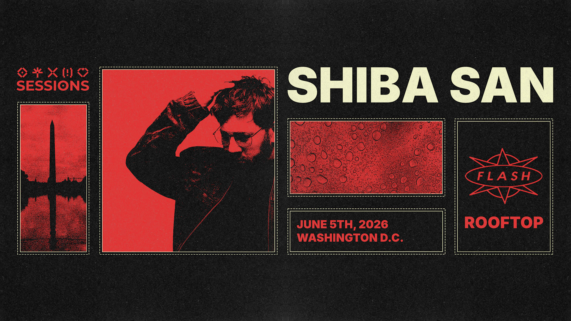 Shiba San On Flash Rooftop