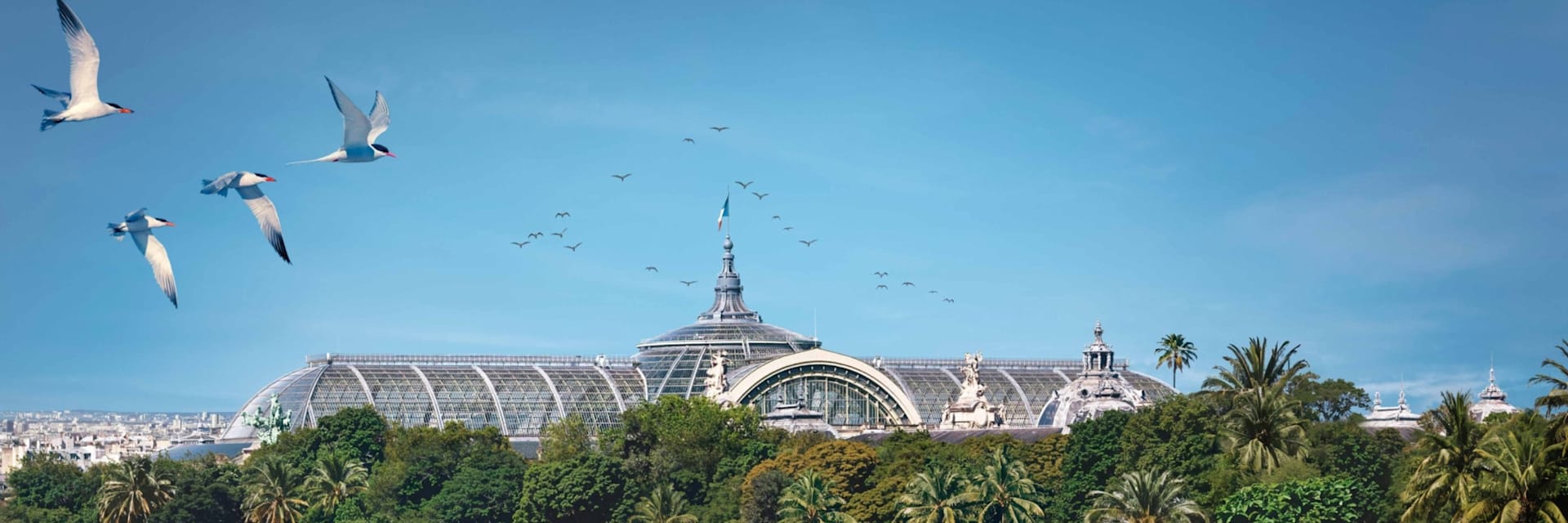 Grand Palais