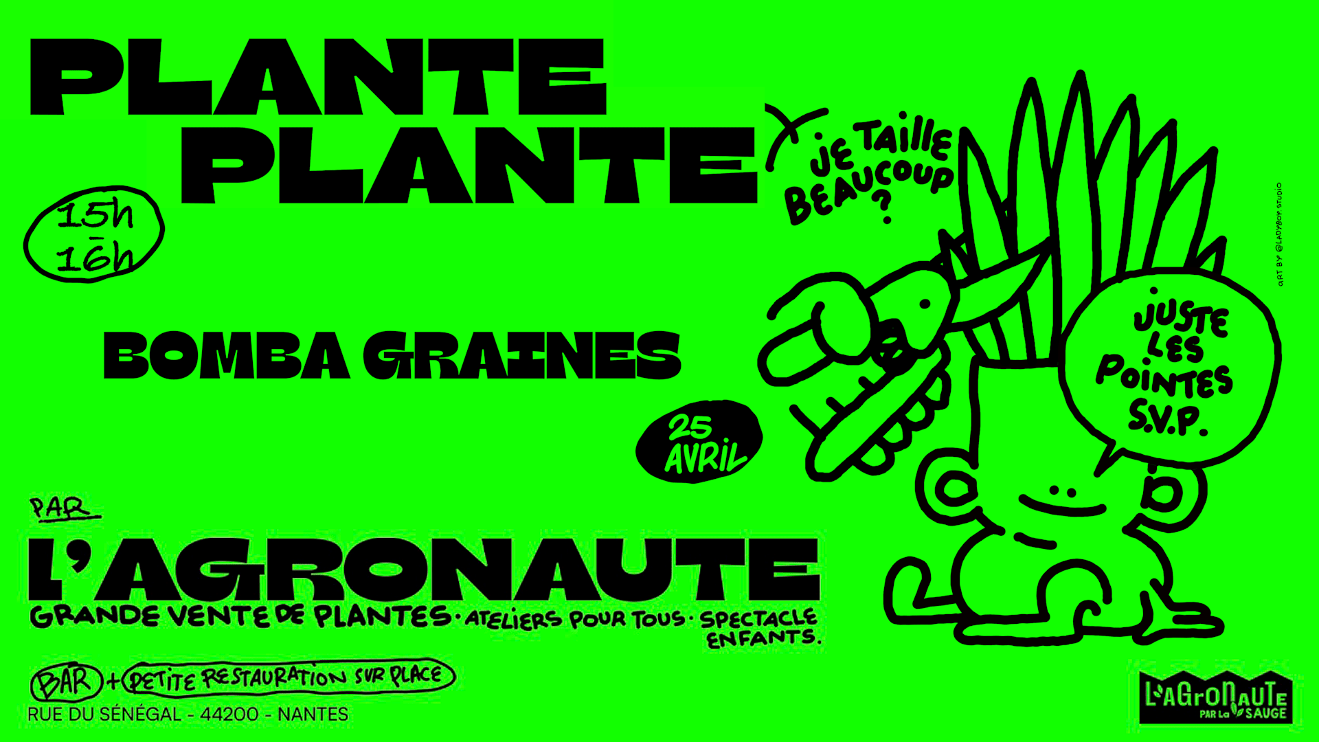 Plante Plante - Atelier Bomba Graines