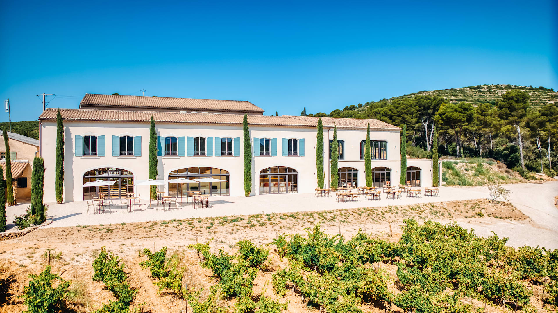 DOMAINE DE COYEUX - L'OR DES DENTELLES