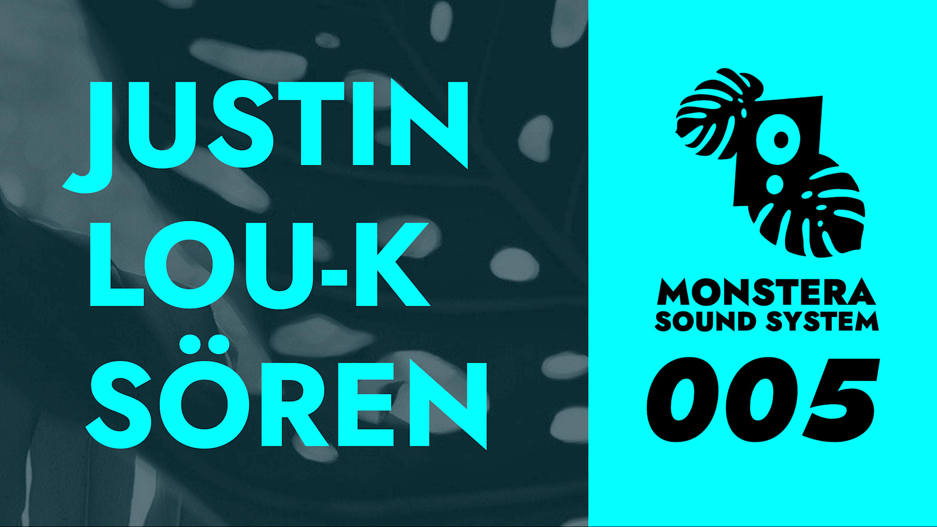 Monstera Sound System 005