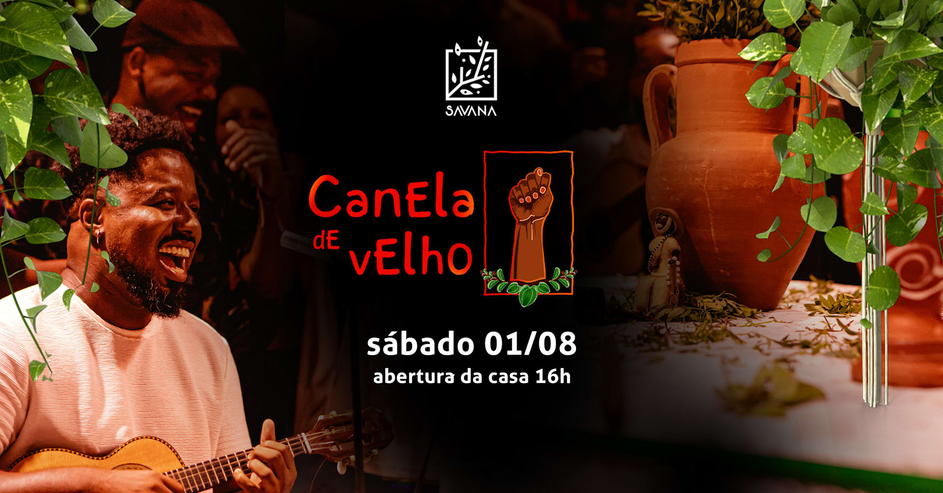 Canela De Velho Na Savana