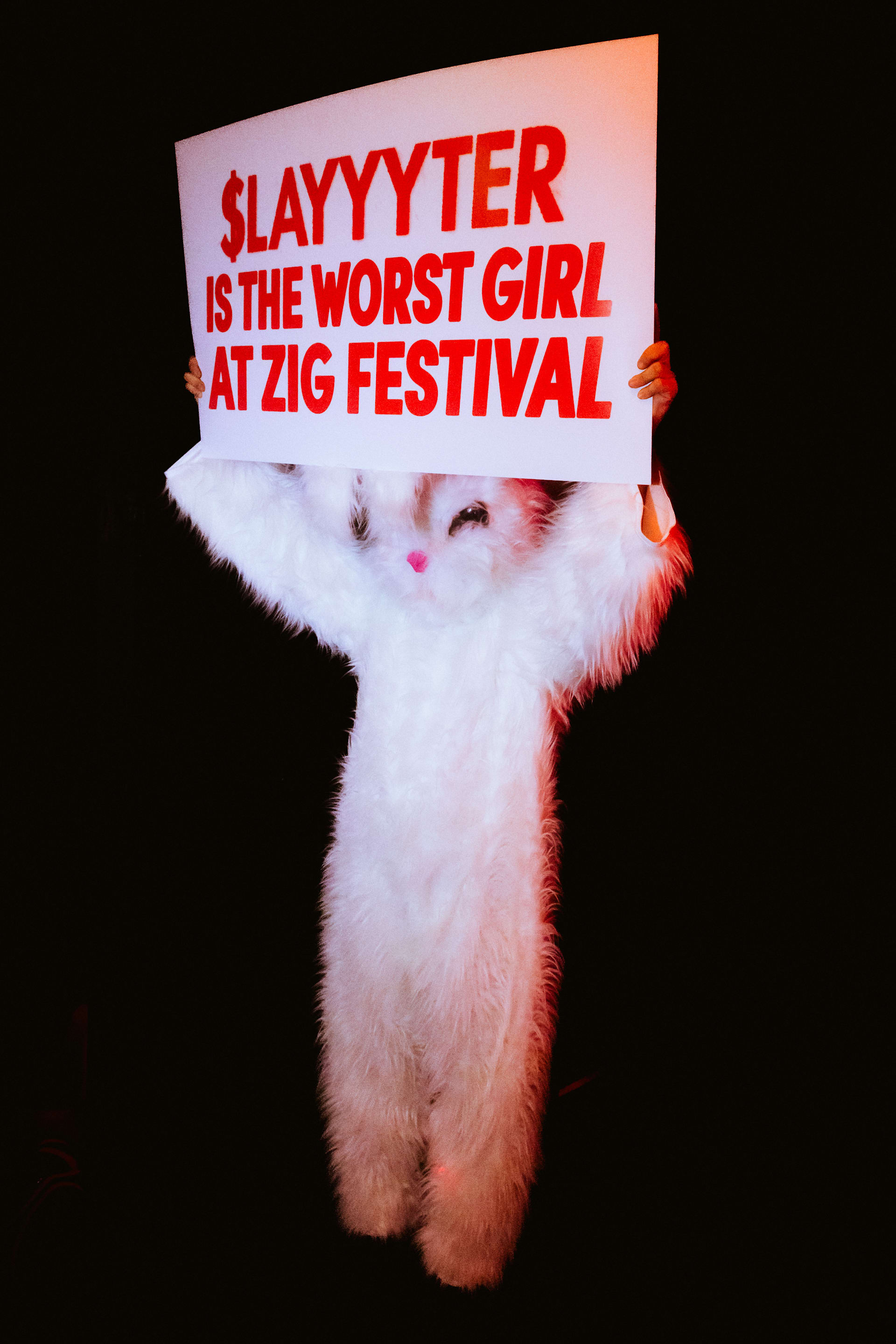 Zig Festival 2026: 10/10 | Oct 10th São Paulo