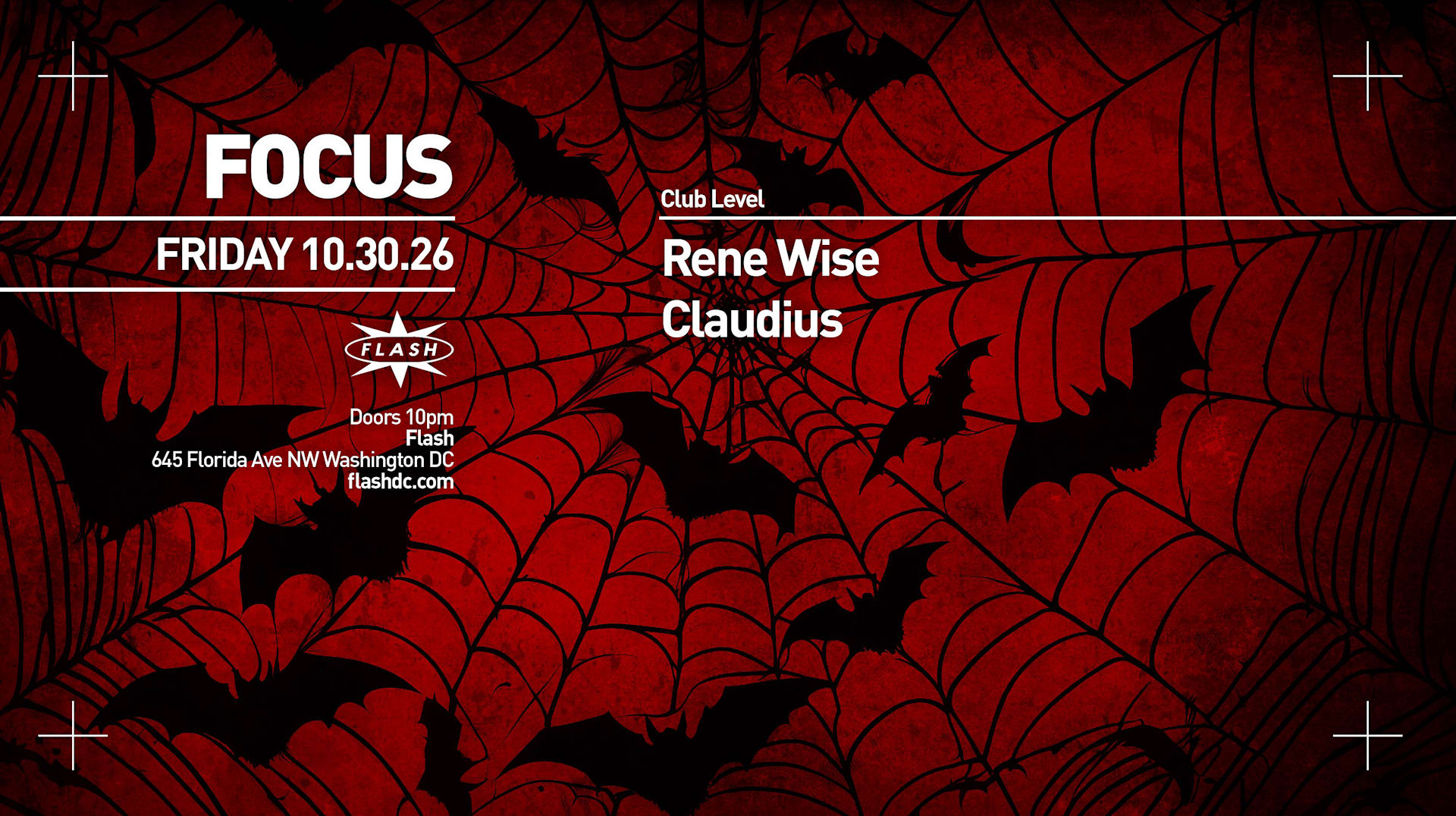 Focus: Rene Wise