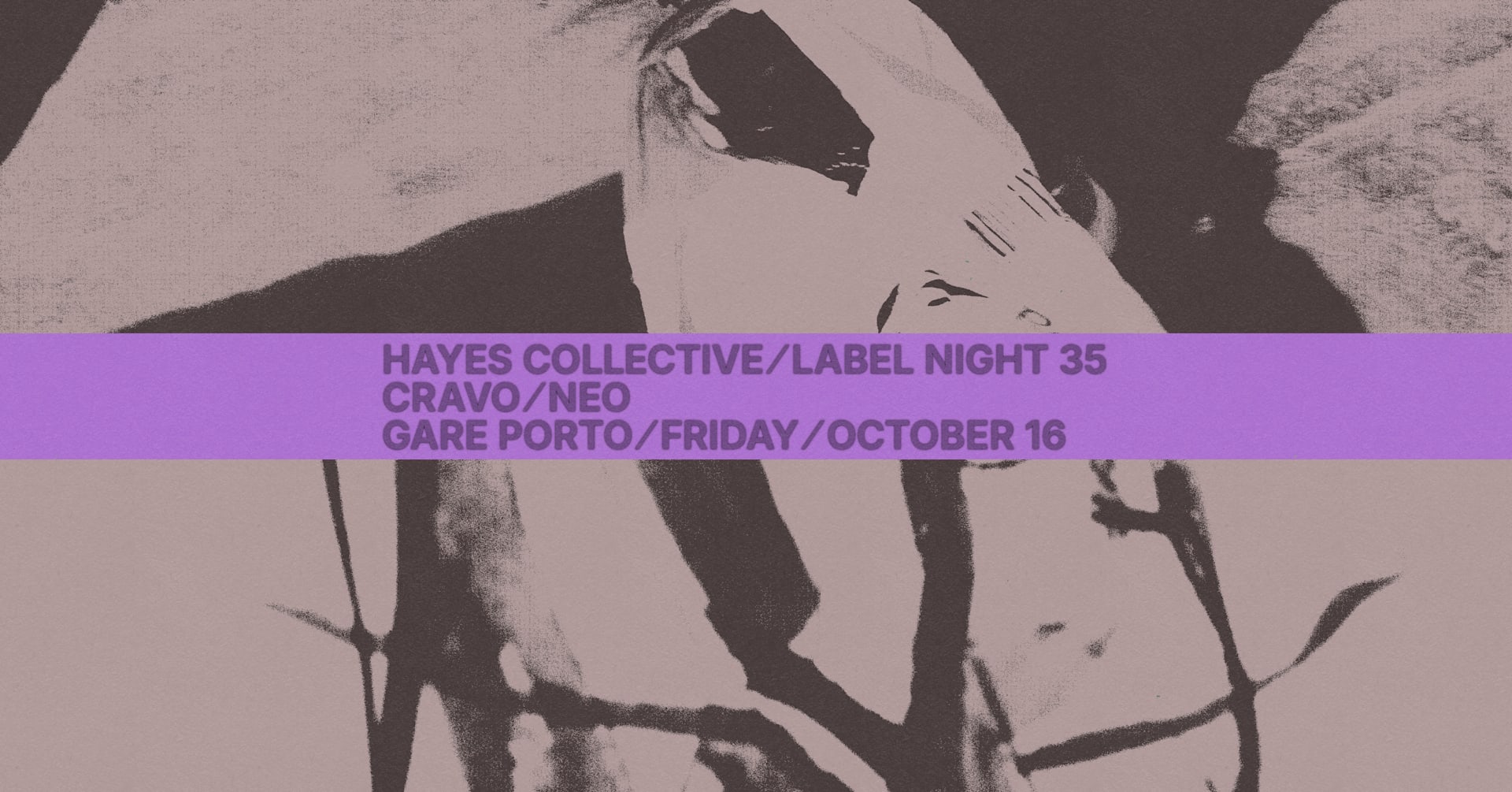 Hayes With Neo, Cravo