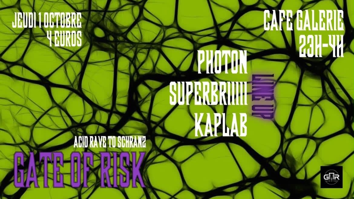 Gate Of Risk : Acid Rave To Schranz