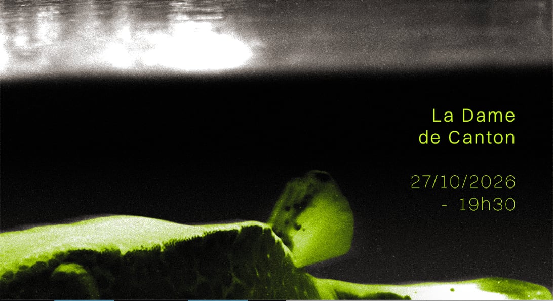 Fish Don't Exist X Scleroda X Eigengrau