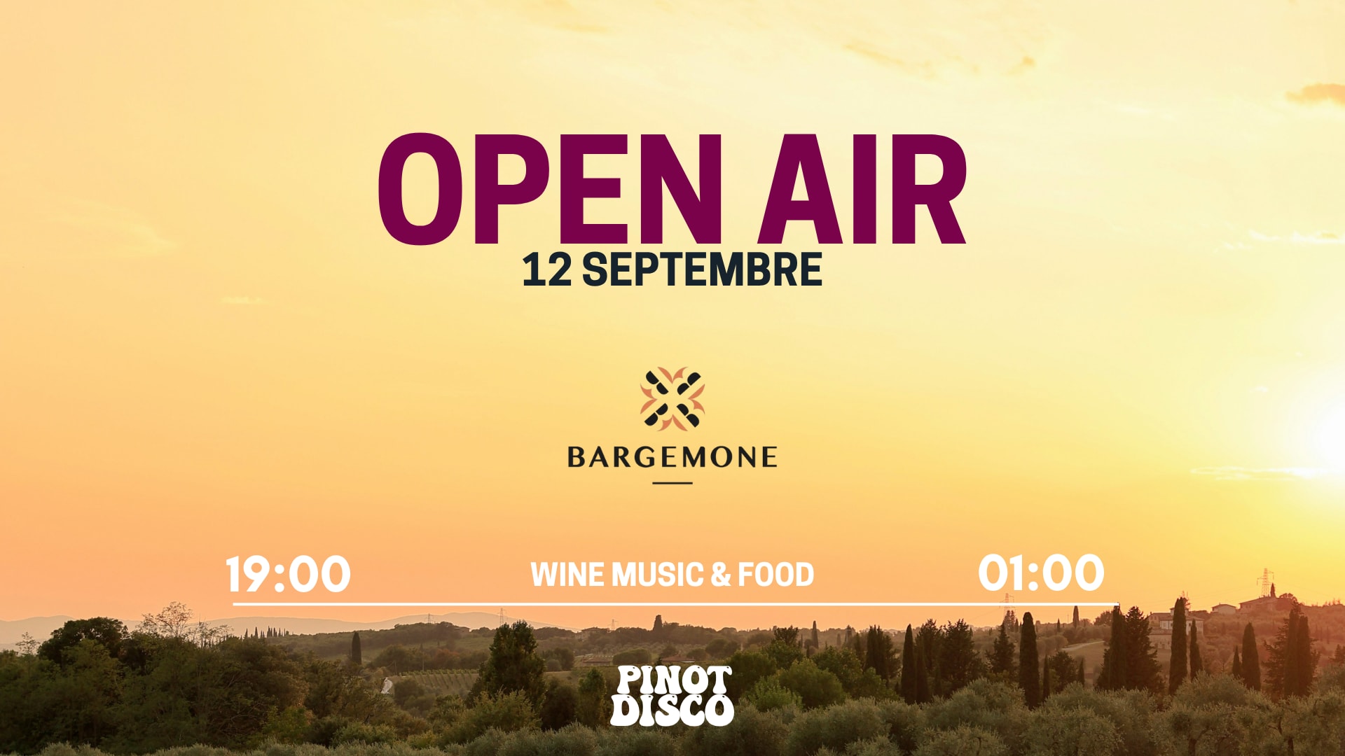 Pinot Disco - Domaine Bargemone