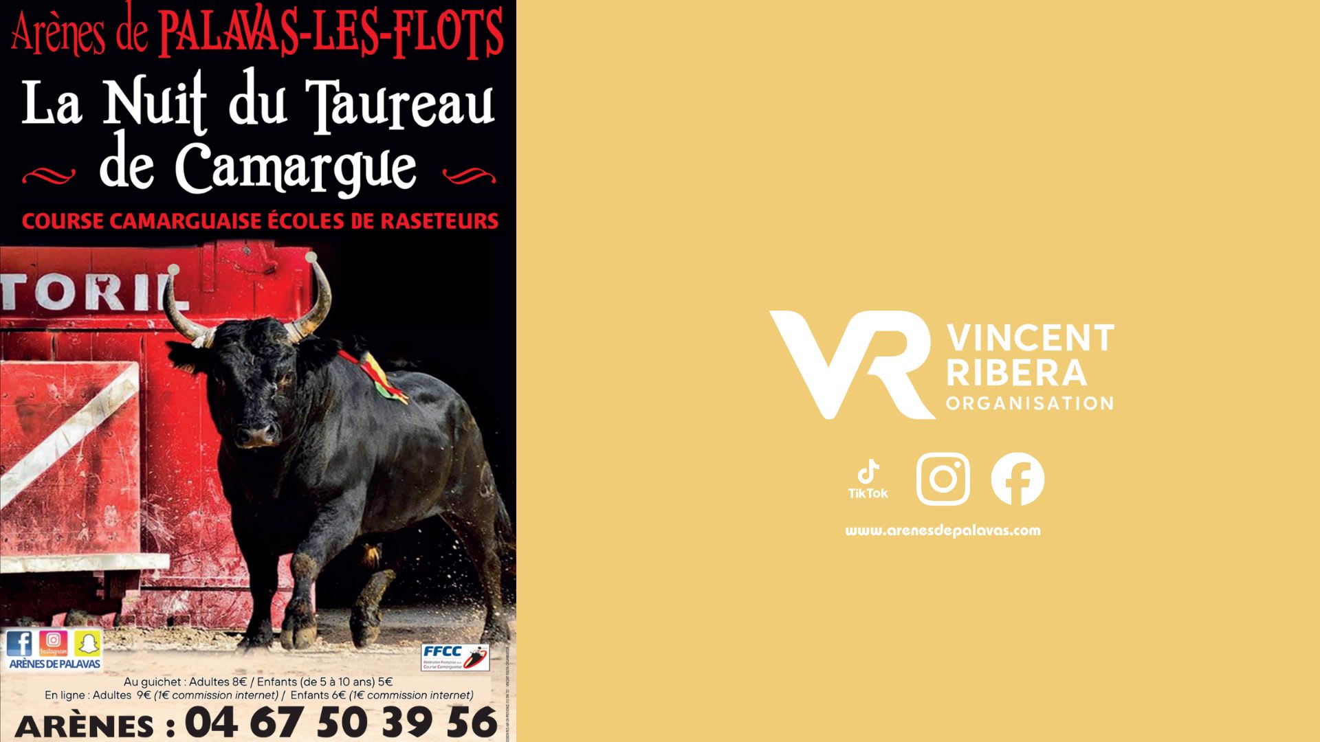 Course Camarguaise - Ecole Taurine - Palavas 28 Octobre