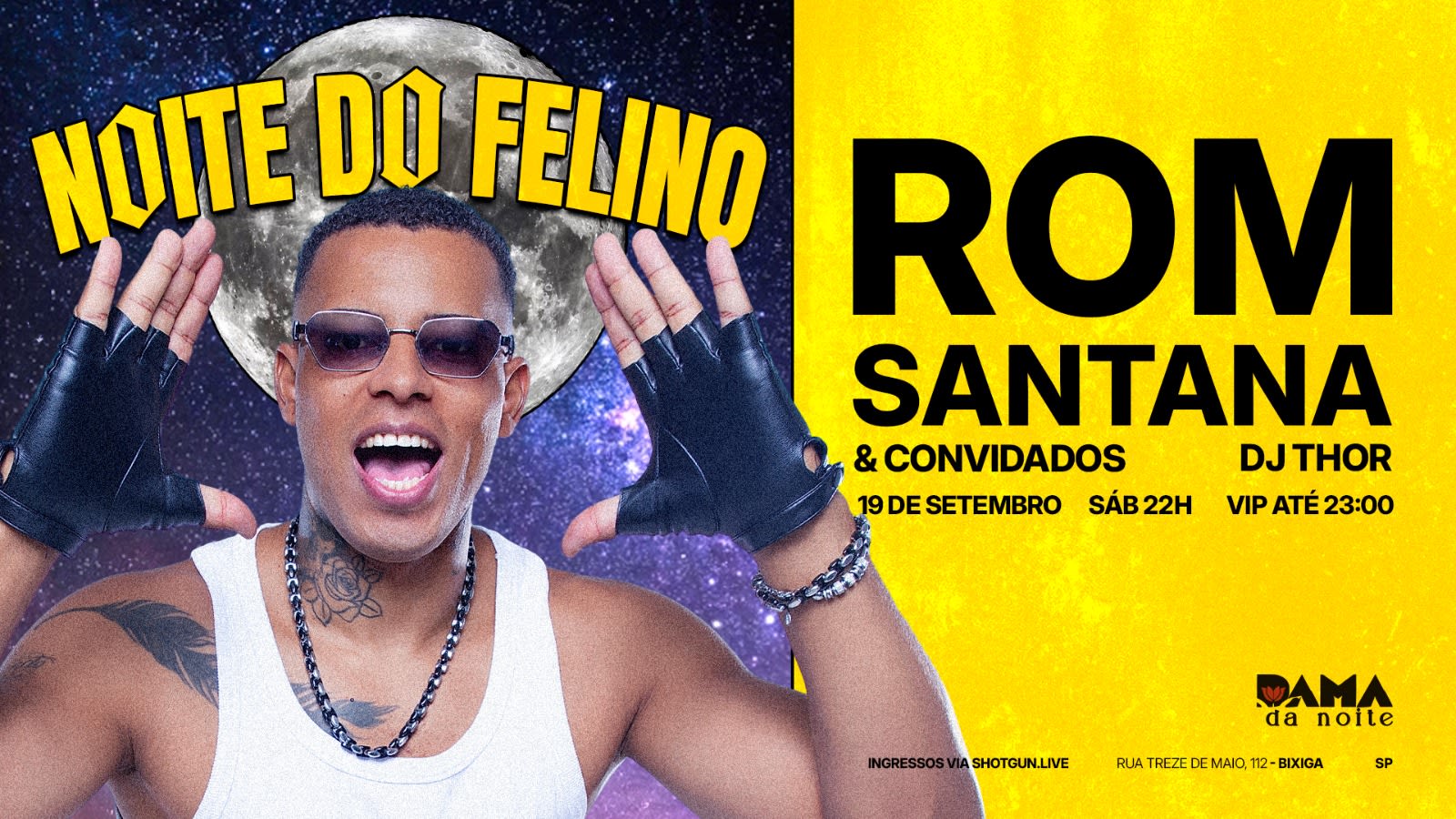 Noite Do Felino
