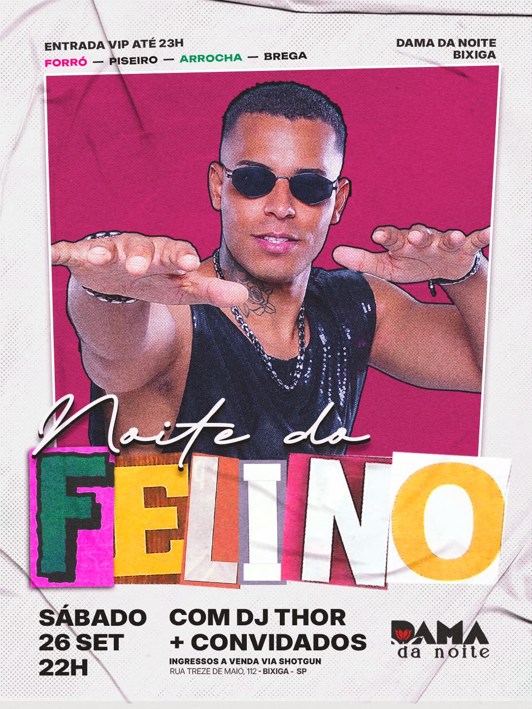Noite Do Felino