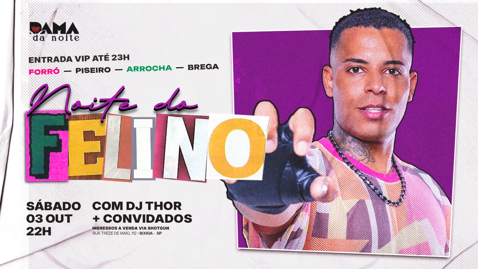 Noite Do Felino
