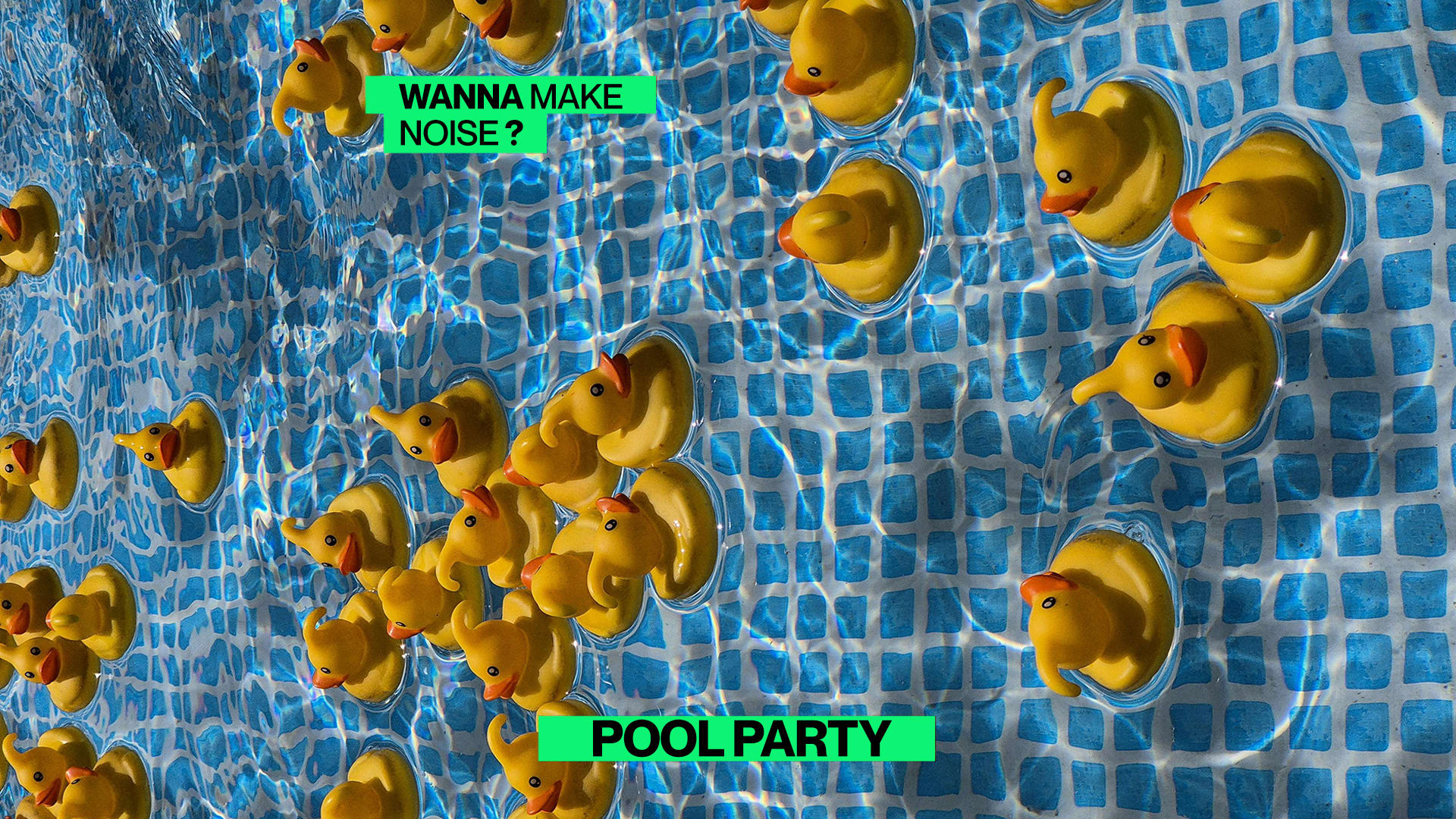 Noise Pool Party