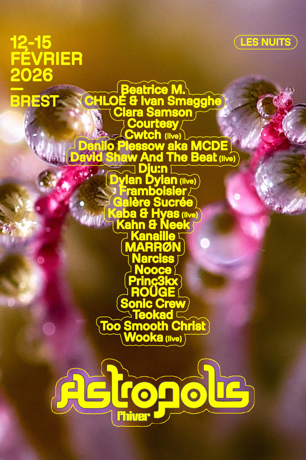 Astropolis L'hiver 2026