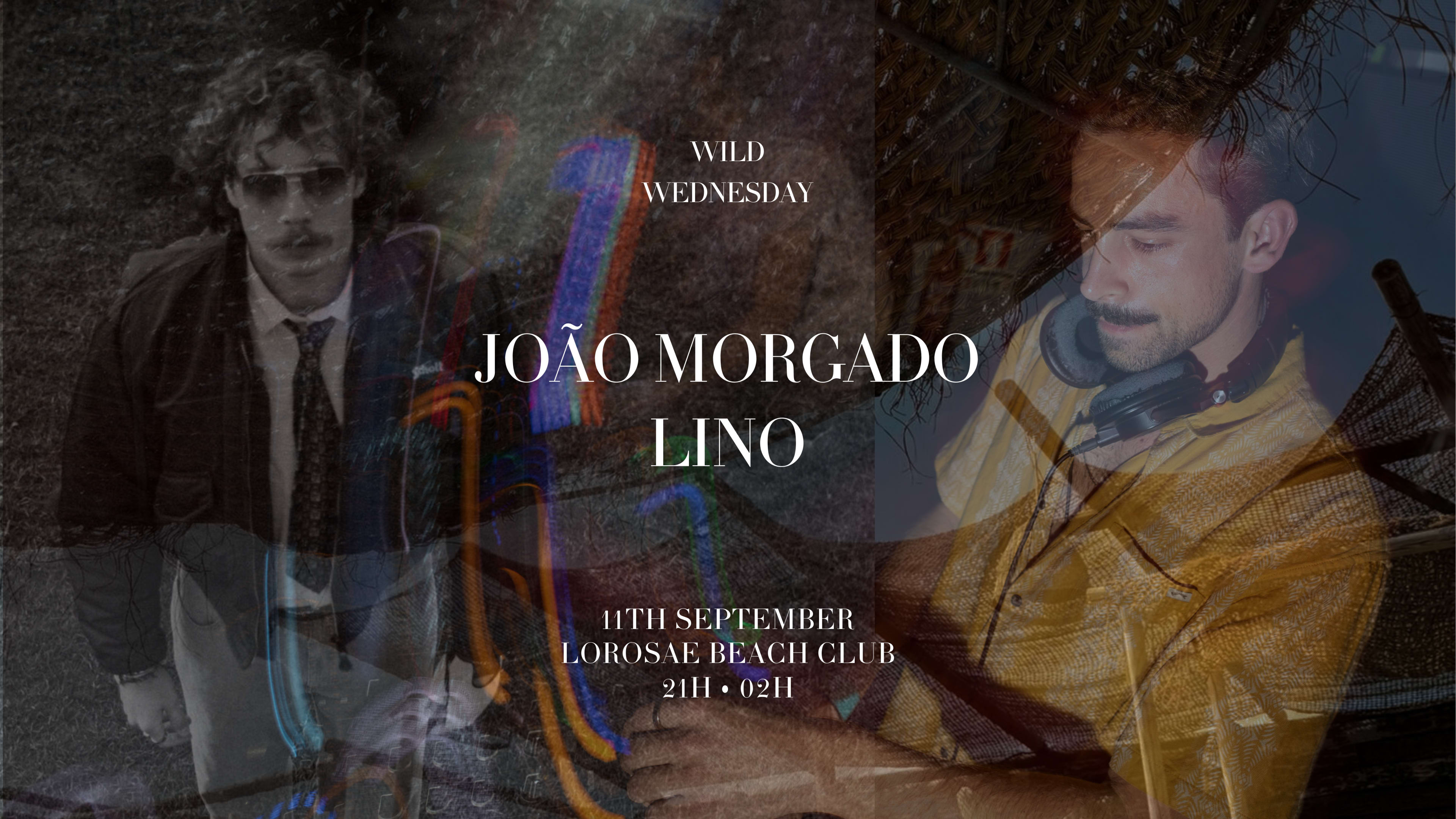 Wild Wednesday - 11/09