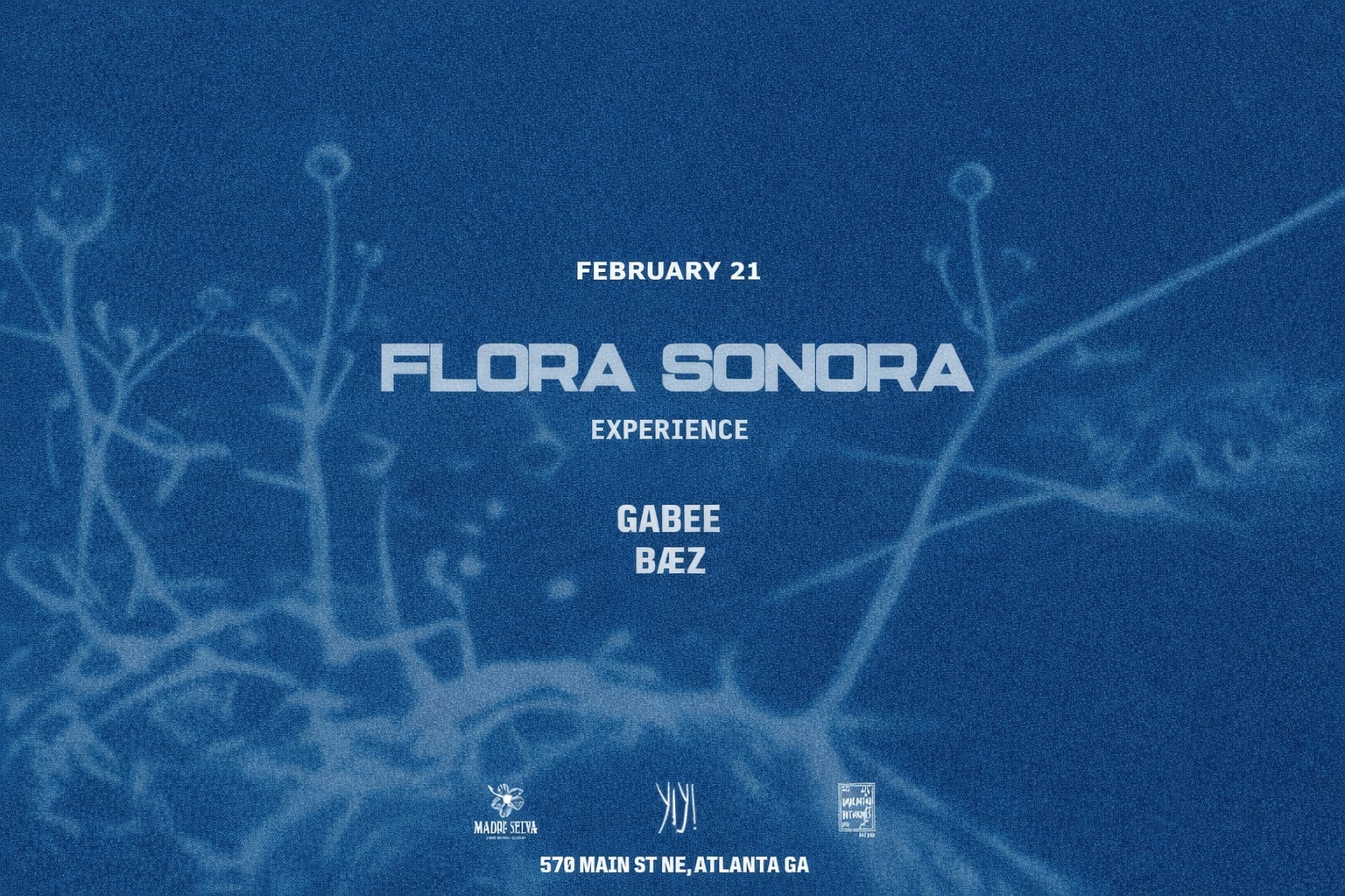 Yiyi Present - Flora Sonora X Amarantha Botanicals