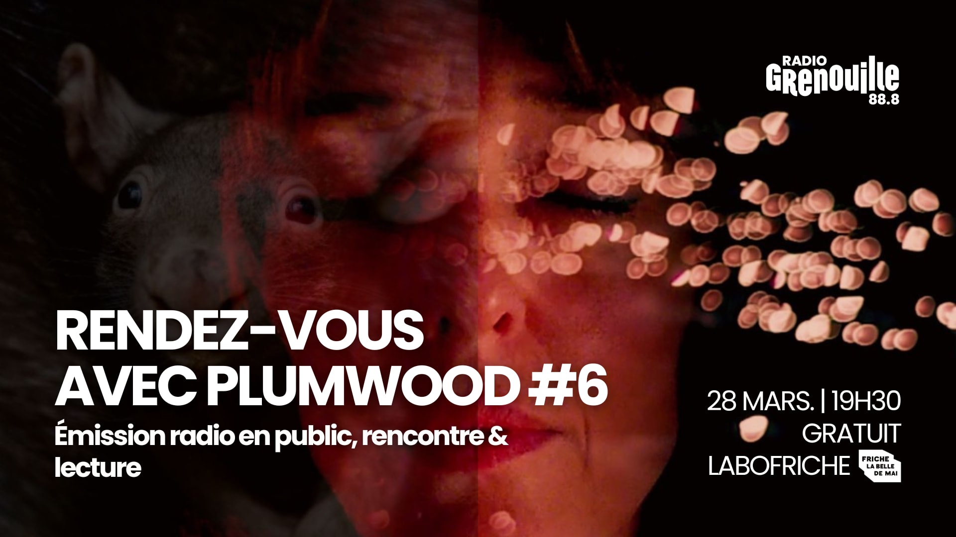 Rendez-Vous Avec Plumwood #6 — Quelles Natures ?